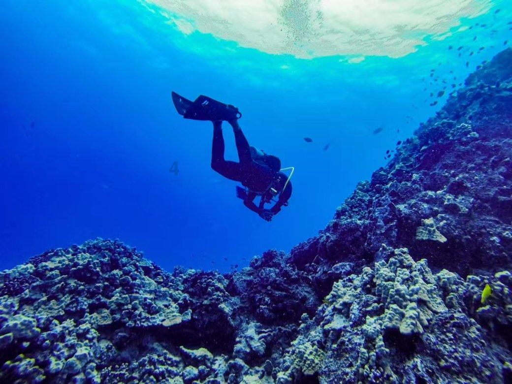 海绵宝宝寻珍宝